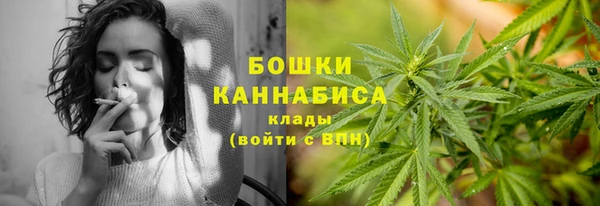 spice Гусев