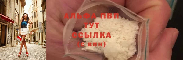 spice Гусев