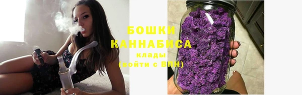 гидропоника Гусь-Хрустальный