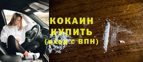 эйфоретик Дмитриев