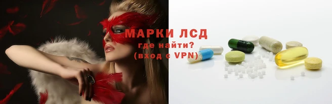 гидропоника Гусь-Хрустальный