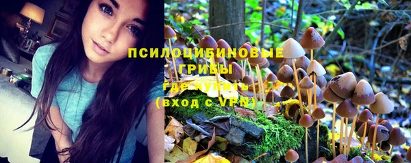 героин Ельня
